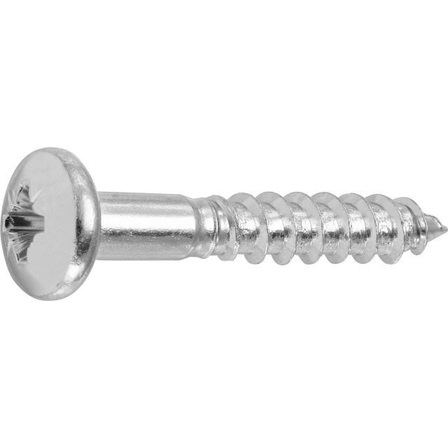 TORNILLO CAB. OVA. GAL. PZ 5,0X30MM (75)